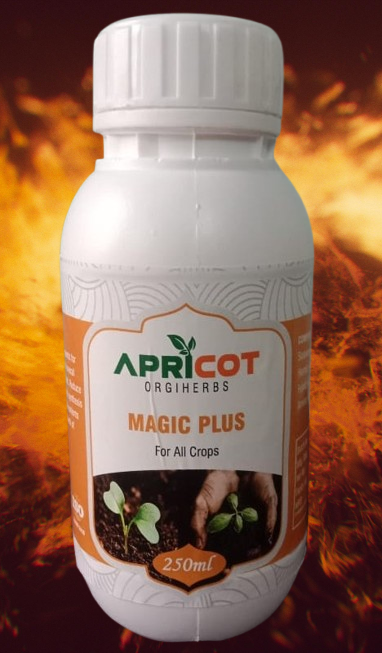 APRI MAGIC PLUS