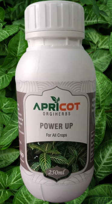APRI POWER UP