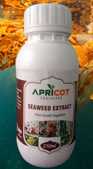 APRI SEAWEED EXTRACT
