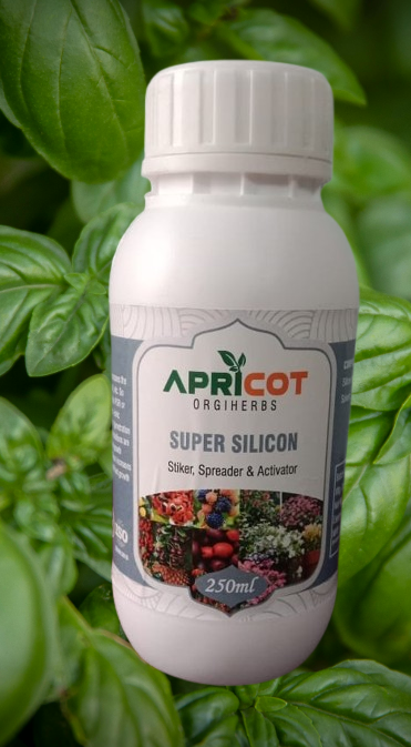 APRI SUPER SILICON